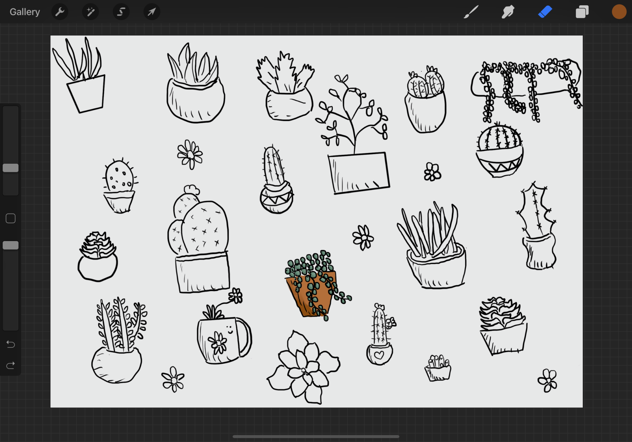 Download Succulent Coloring Page for Procreate | Cheeseism